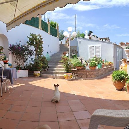 B&B Villa Cristina Anacapri  Bagian luar foto