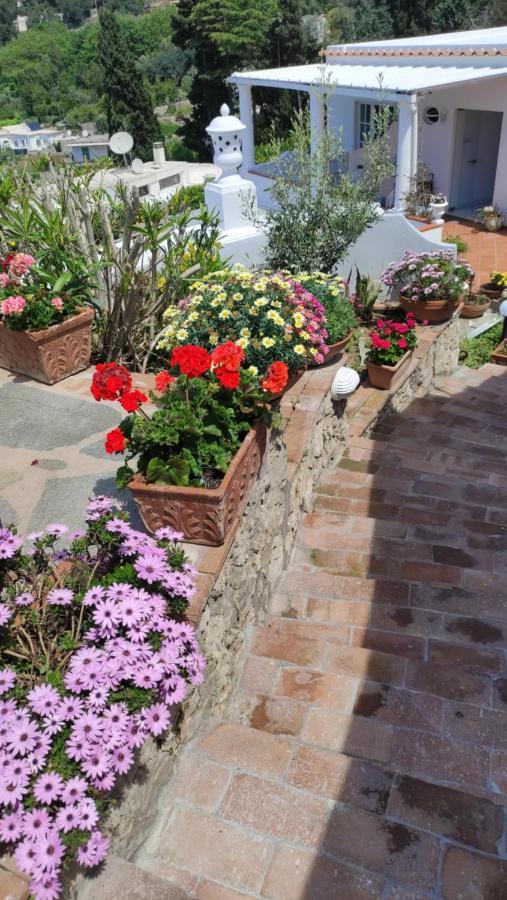 B&B Villa Cristina Anacapri  Bagian luar foto